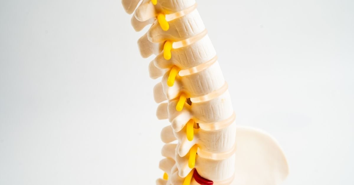 Spinal Decompression for a Herniated Disc: What to Expect Session by Session